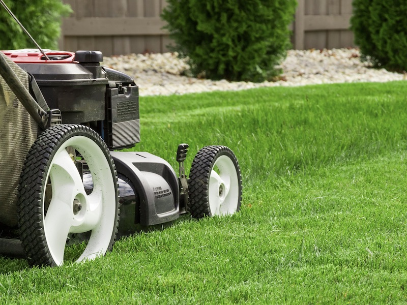 How To Prepare Your Lawn And Garden For Spring And Summer